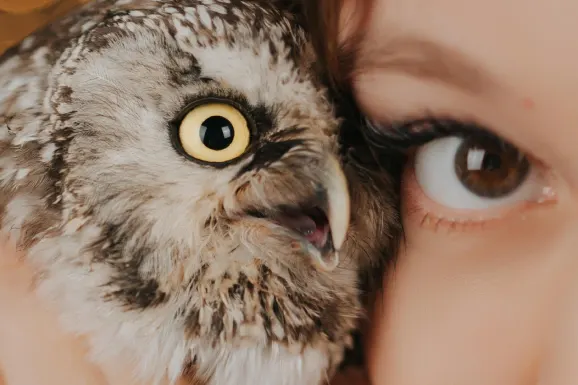 Casino Lucky Tiger Podrška